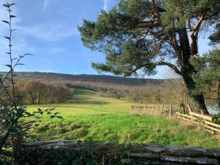 White Haywood Farmhouse & Barn - Craswall - 5