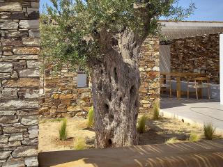Farous Antiparos Two Seaside and Sunset Villas! - Andiparo - 2