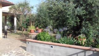 La Terrazza di Cascia - Reggello - 4