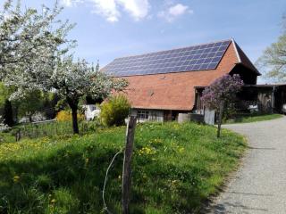 Ferienwohnung-Stadtblick - Horben - 4