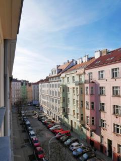 Quiet and spacious flat near city centre in Prague 3 - Prague - 8