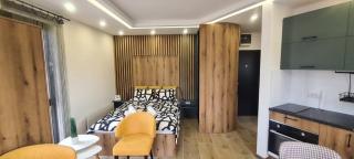 Studio Andrea - Divčibare - 3