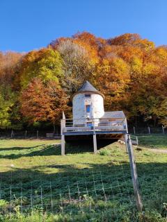Le Perchoir des Pyrénées - Gerde - 1