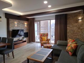 Prestige Apartamenty Stara Polana & SPA2 - Zakopane - 3