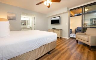 Phoenix IV 4001 condo - Orange Beach - 1