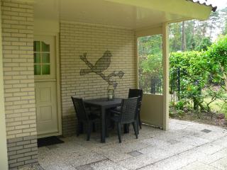 Vakantiewoning Bosvogel - Holten - 7