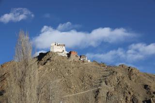 Tsana Homestay Leh - Leh - 8