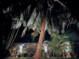 White Villa - Homestay - Tangalle - 3