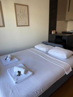 Montenegro Luxury Studio - Hill Homes - Podgorica - 8