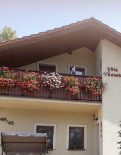 villa Pšenek - Banka - 6