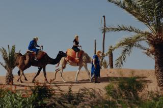 Palmeraie Oasis Camp - A member of Barcelo Hotel Group - Marrakesh - 7