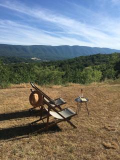 Luberon Provence Swimming pool Terrace View for 2 - Viens - 3