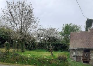 Wildberry cottage - Orgères-la-Roche - 7