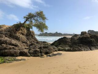 villa rotheneuf - Saint Malo - 8