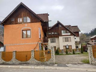 Pensiunea Irina 1 si 2 - Zărneşti - 9