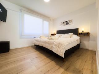 Viento Blanco Suites I - Andarlibre - San Martín de los Andes - 0
