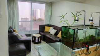Furnished apartment, with ocean views - San Antonio - 7