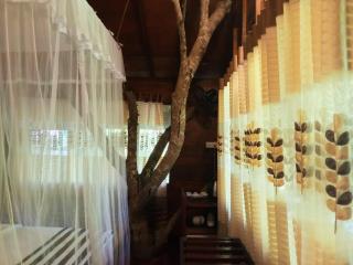 Jungle Face Inn - Ella - 4