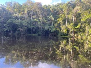 Chacara com fogueira e piscina em meio a natureza - 4