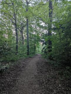 HomeBievres maison dans les bois - 4