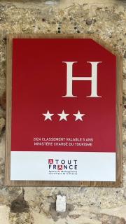 Hôtel Henri IV - Restaurant - Eauze - 9