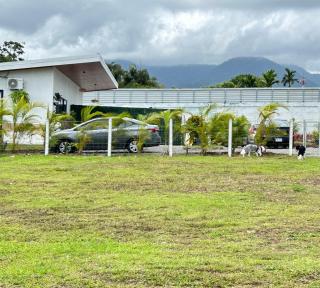 Arenal Monrot - Fortuna - 6