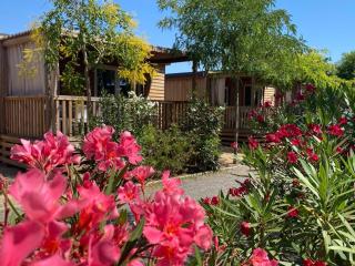 Camping Resort Els Pins - Malgrat de Mar - 8