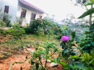 Mây garden homestay cầu đất - Xuân Trường - 3