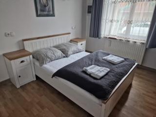 Willa Rogaś Apartments - Rytro - 9