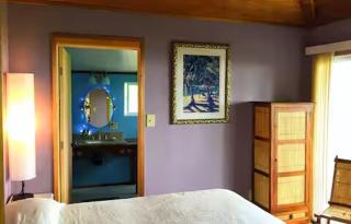 Private wrap around Lani Oasis with ocean view - Naalehu - 7