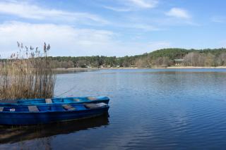 WaldSeeLiebe - Pinnow - 8