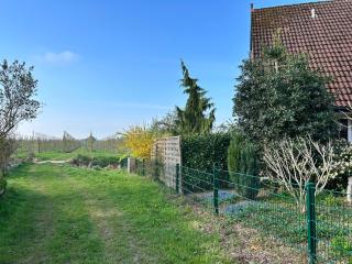 Ferienwohnung Altes Land - Apfelblüte - Jork - 1