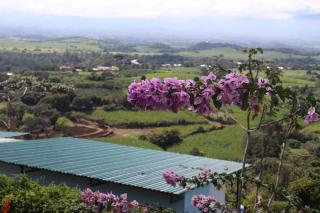 The Toucan - Cozy Mountain Cabin, Stunning Views, Private & Quiet in Costa Rica - Puente de Piedra - 0