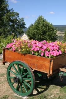 Logis Hotel Les Playes - Villard-de-Lans - 6
