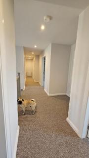 Benji & Milo's Farmhouse - - 5