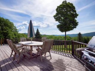 Most Luxury 7000 Sq ft Log Estate with Pool Hot Tub Sauna - Wilmington - 2