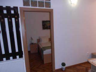 Nicolas Central Apartament - Sibiu - 4