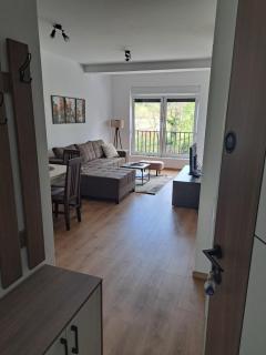 Apartman Miletic - Vrnjačka Banja - 8