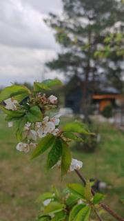 Domek nad Zalewem - 1