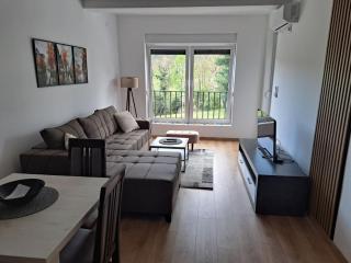 Apartman Miletic - Vrnjačka Banja - 9