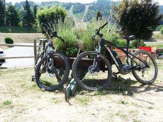 Logis Hotel Les Playes - Villard-de-Lans - 1