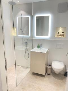 Top apartment with stunning views- 15 min Zurich HB- Self Check-in - Zurich - 6