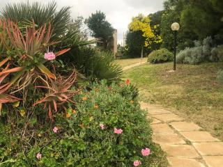 Il Giardino di Elettra - Palmadula - 4