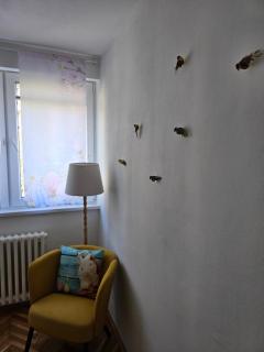 Apartman Zlatovo Stan Na Dan - Požarevac - 4