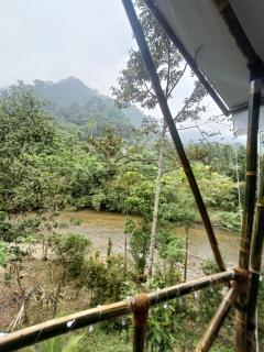 Escape Leuser Glamping & Jungle Expedition - Timbanglawang - 3