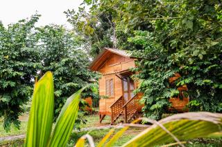 Kê vitamina - Solar dos Ananas - 6