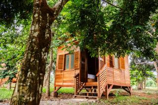 Kê vitamina - Solar dos Ananas - 9