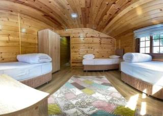 Ayder Villa Bravo - Çamlıhemşin - 2