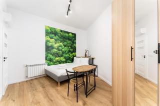 Cozy studio - Starowislna 54 Street - Krakow - 3