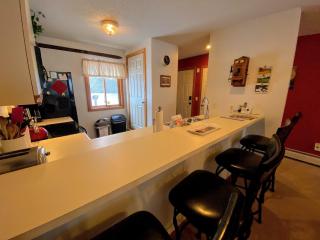 SC4 Ski Slope Views Bretton Woods Condo - Carroll - 5